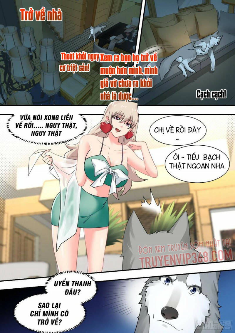 Trọng Sinh Thành Chó Của Nữ Thần - Chapter 29 - Page 15