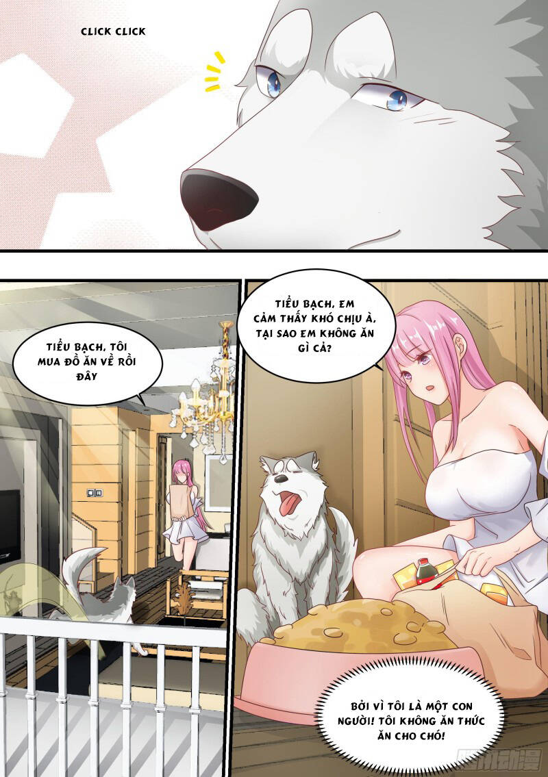 Trọng Sinh Thành Chó Của Nữ Thần - Chapter 3 - Page 3