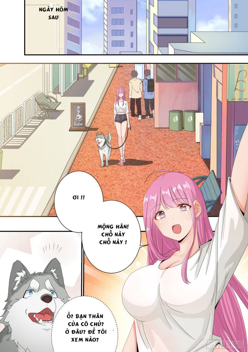 Trọng Sinh Thành Chó Của Nữ Thần - Chapter 4 - Page 9