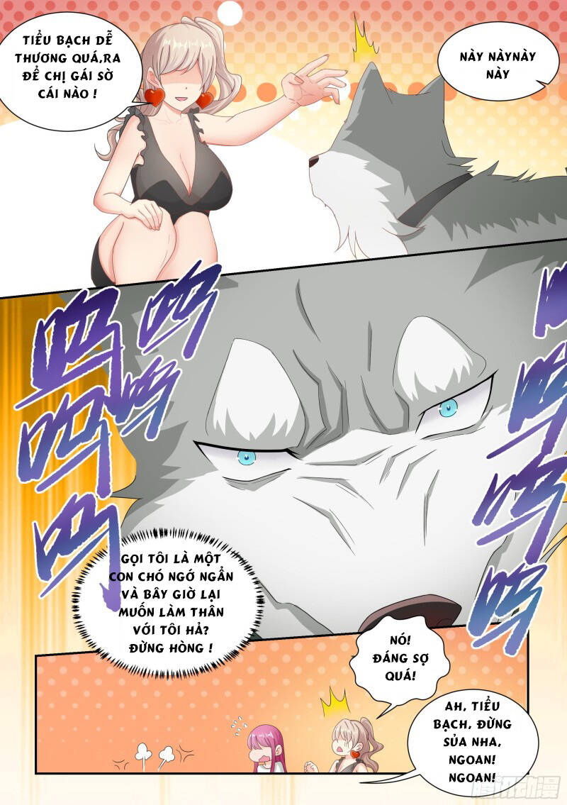 Trọng Sinh Thành Chó Của Nữ Thần - Chapter 4 - Page 17