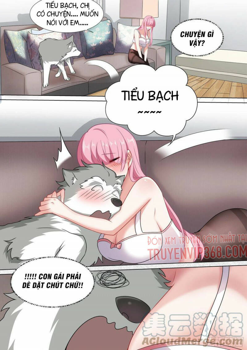 Trọng Sinh Thành Chó Của Nữ Thần - Chapter 45 - Page 4
