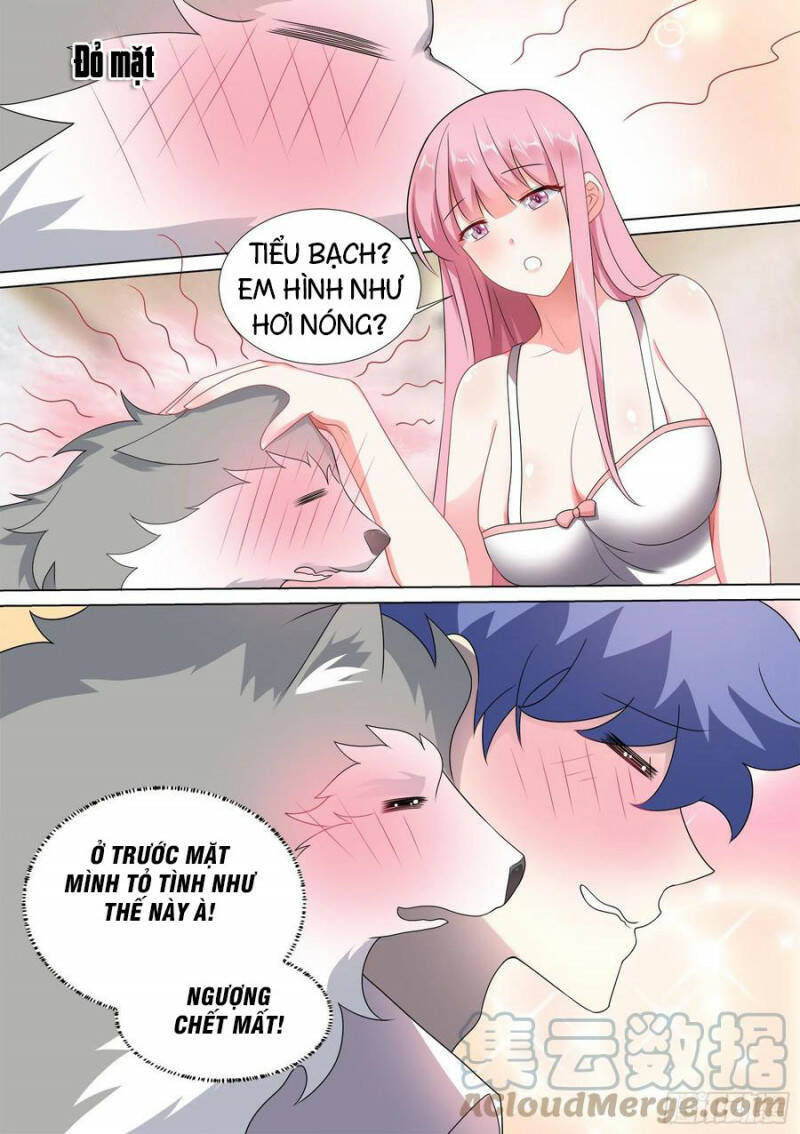 Trọng Sinh Thành Chó Của Nữ Thần - Chapter 45 - Page 8