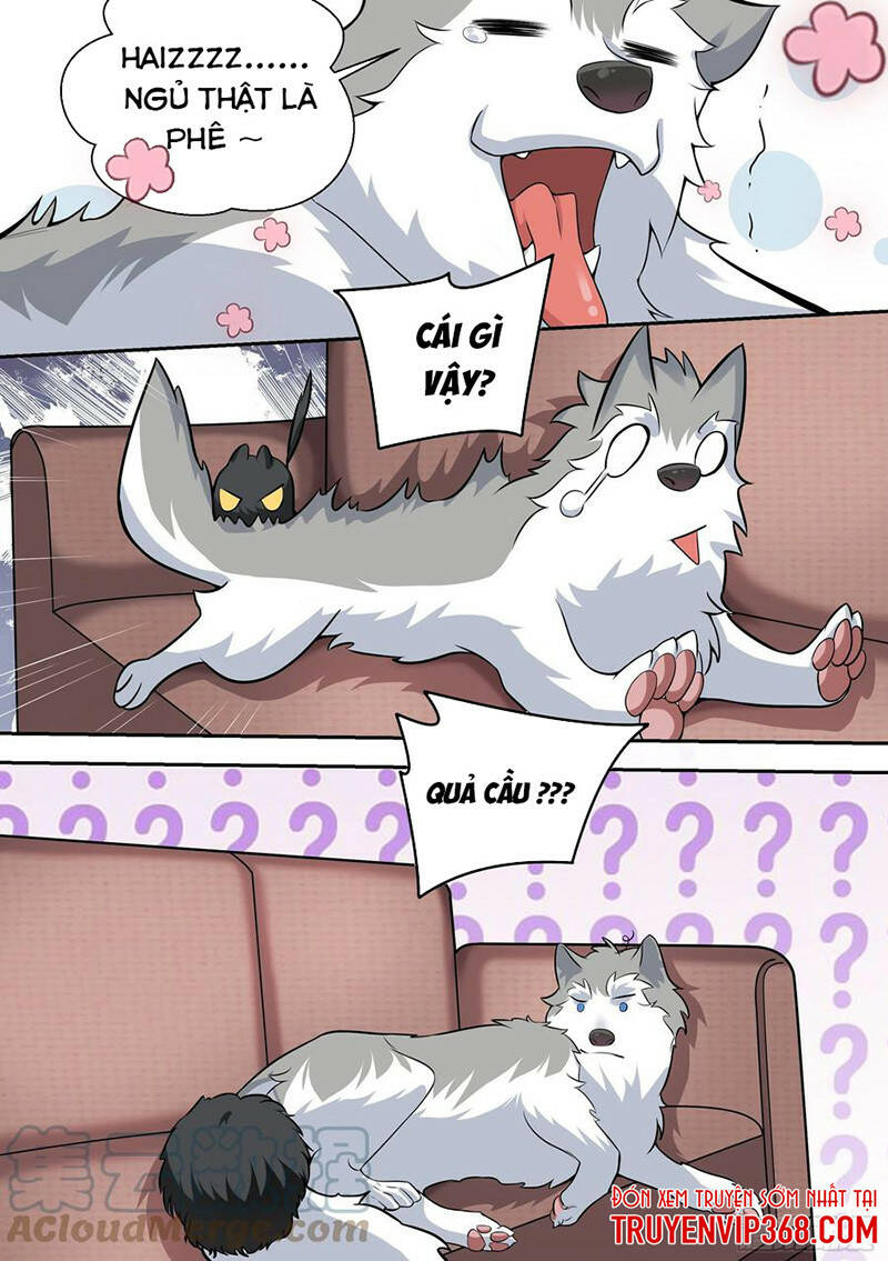 Trọng Sinh Thành Chó Của Nữ Thần - Chapter 49 - Page 4