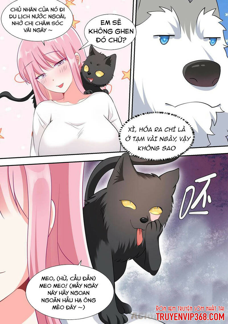 Trọng Sinh Thành Chó Của Nữ Thần - Chapter 49 - Page 6