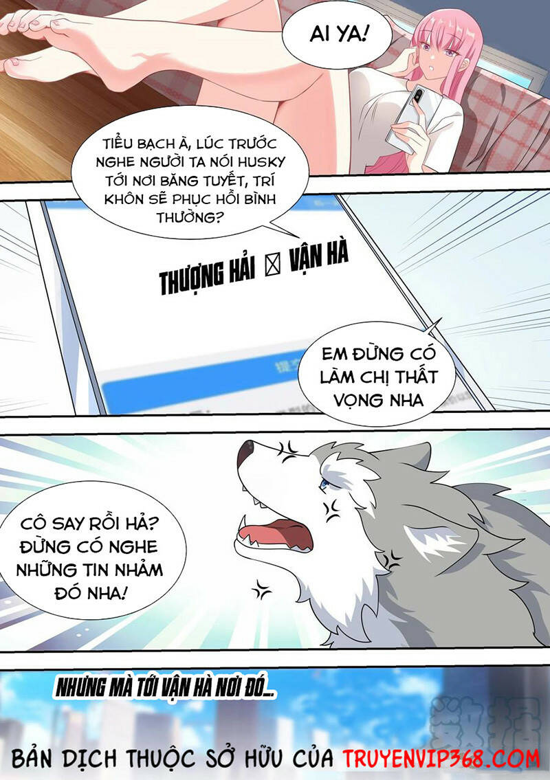 Trọng Sinh Thành Chó Của Nữ Thần - Chapter 52 - Page 9