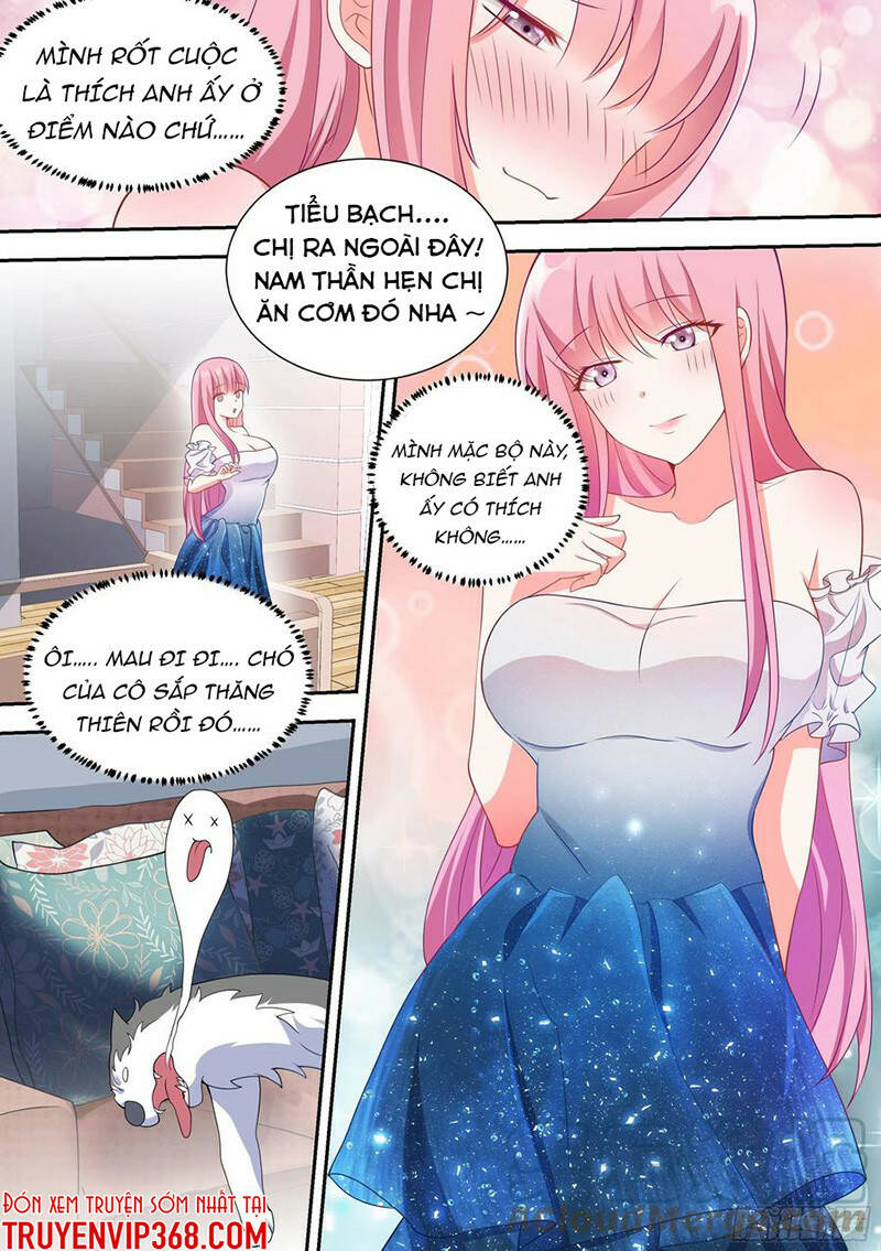 Trọng Sinh Thành Chó Của Nữ Thần - Chapter 54 - Page 6