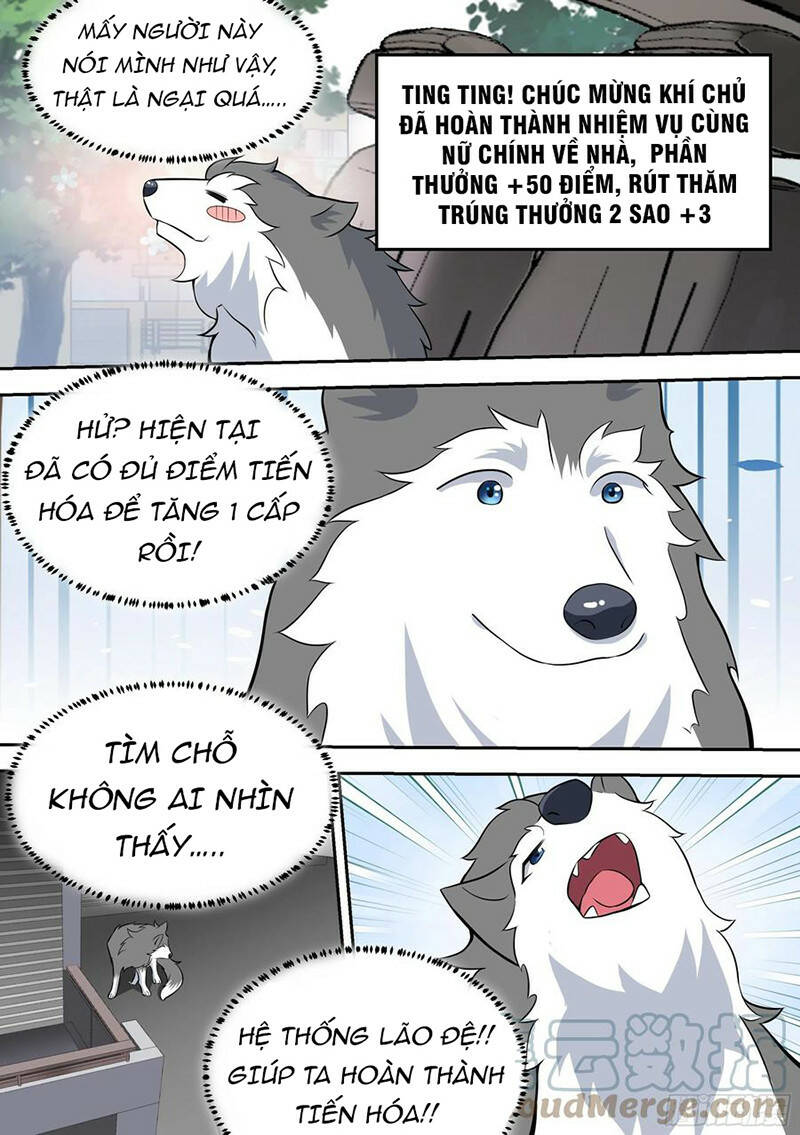 Trọng Sinh Thành Chó Của Nữ Thần - Chapter 63 - Page 10