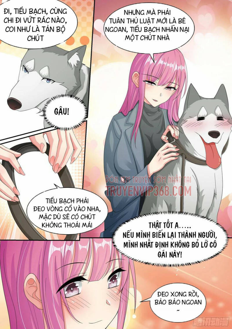 Trọng Sinh Thành Chó Của Nữ Thần - Chapter 7 - Page 15