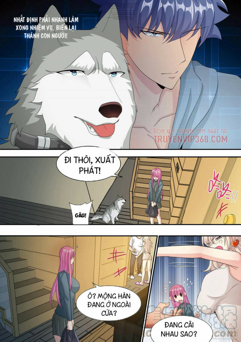 Trọng Sinh Thành Chó Của Nữ Thần - Chapter 7 - Page 16