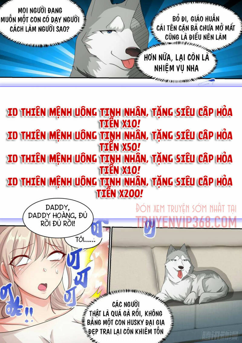 Trọng Sinh Thành Chó Của Nữ Thần - Chapter 8 - Page 19