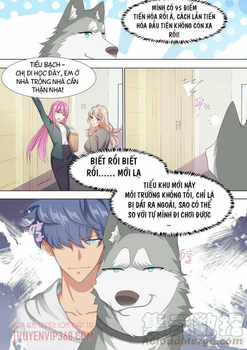 Trọng Sinh Thành Chó Của Nữ Thần - Chapter 9 - Page 10