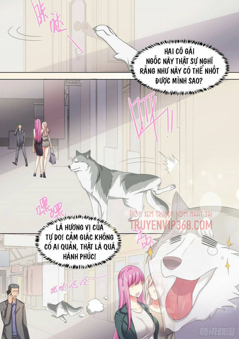 Trọng Sinh Thành Chó Của Nữ Thần - Chapter 9 - Page 11