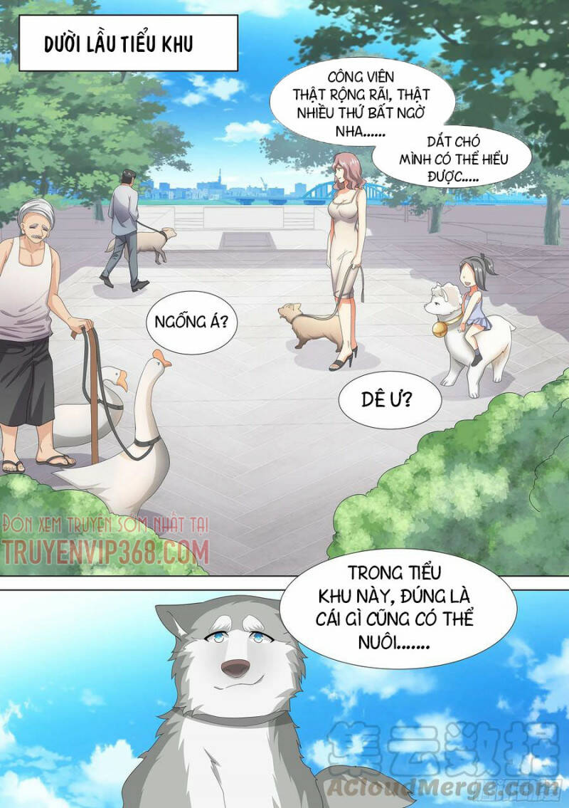 Trọng Sinh Thành Chó Của Nữ Thần - Chapter 9 - Page 12