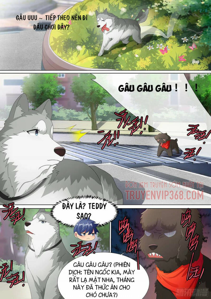 Trọng Sinh Thành Chó Của Nữ Thần - Chapter 9 - Page 13