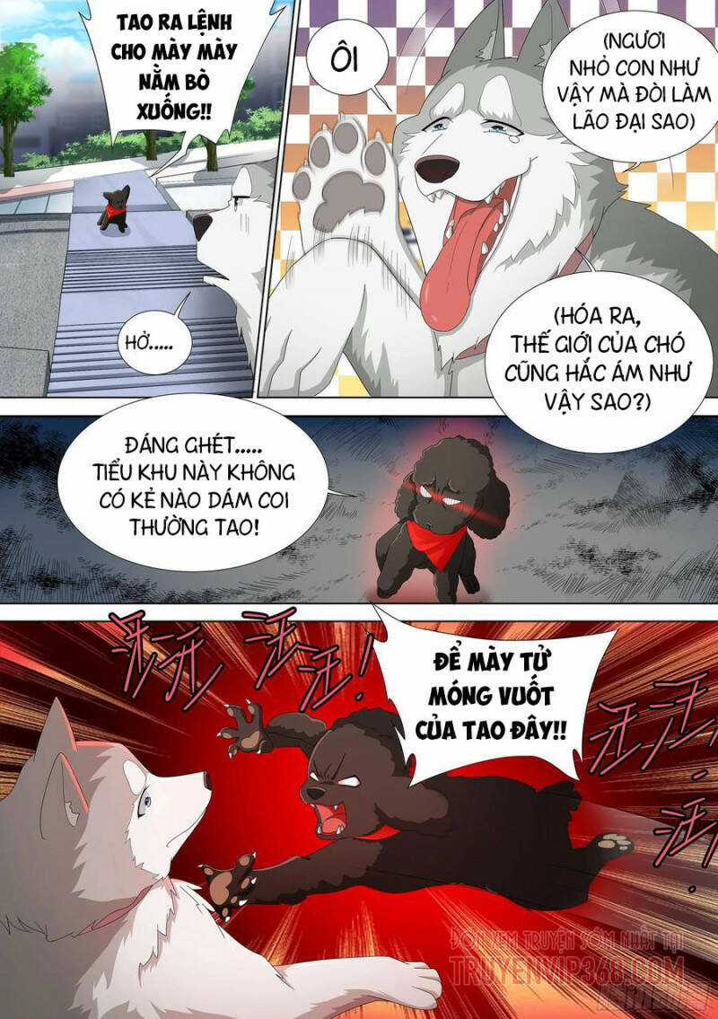 Trọng Sinh Thành Chó Của Nữ Thần - Chapter 9 - Page 15