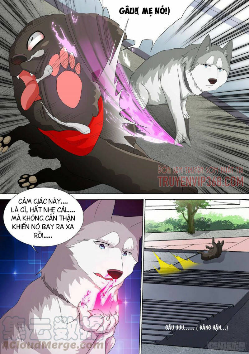 Trọng Sinh Thành Chó Của Nữ Thần - Chapter 9 - Page 16