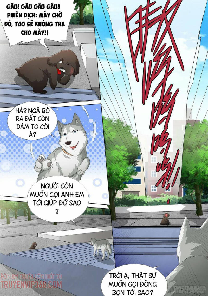 Trọng Sinh Thành Chó Của Nữ Thần - Chapter 9 - Page 17