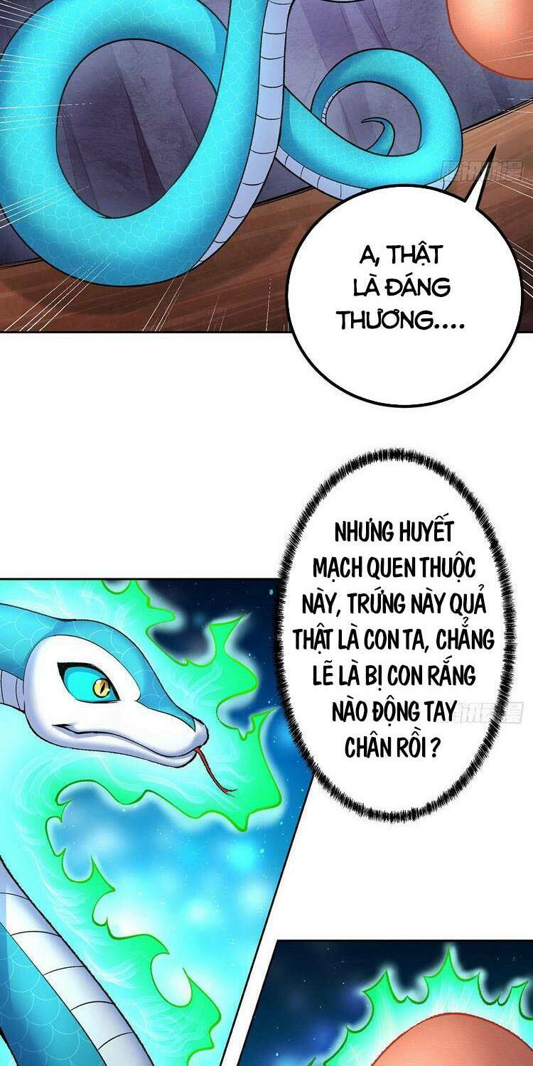 Ta Nhặt Được Thuộc Tính Tại Tu Chân Giới - Chapter 178.1 - Page 22