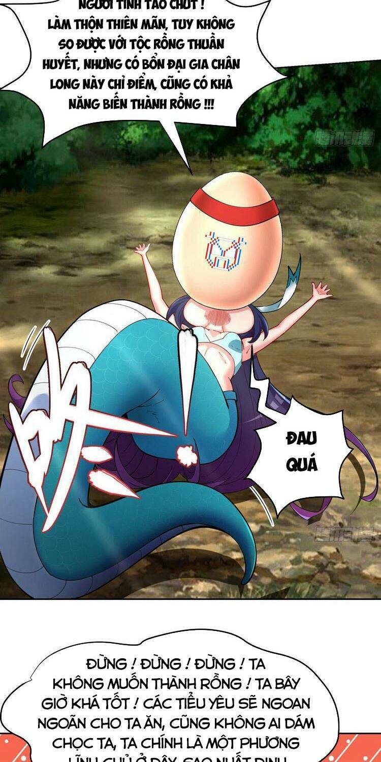 Ta Nhặt Được Thuộc Tính Tại Tu Chân Giới - Chapter 178.2 - Page 5