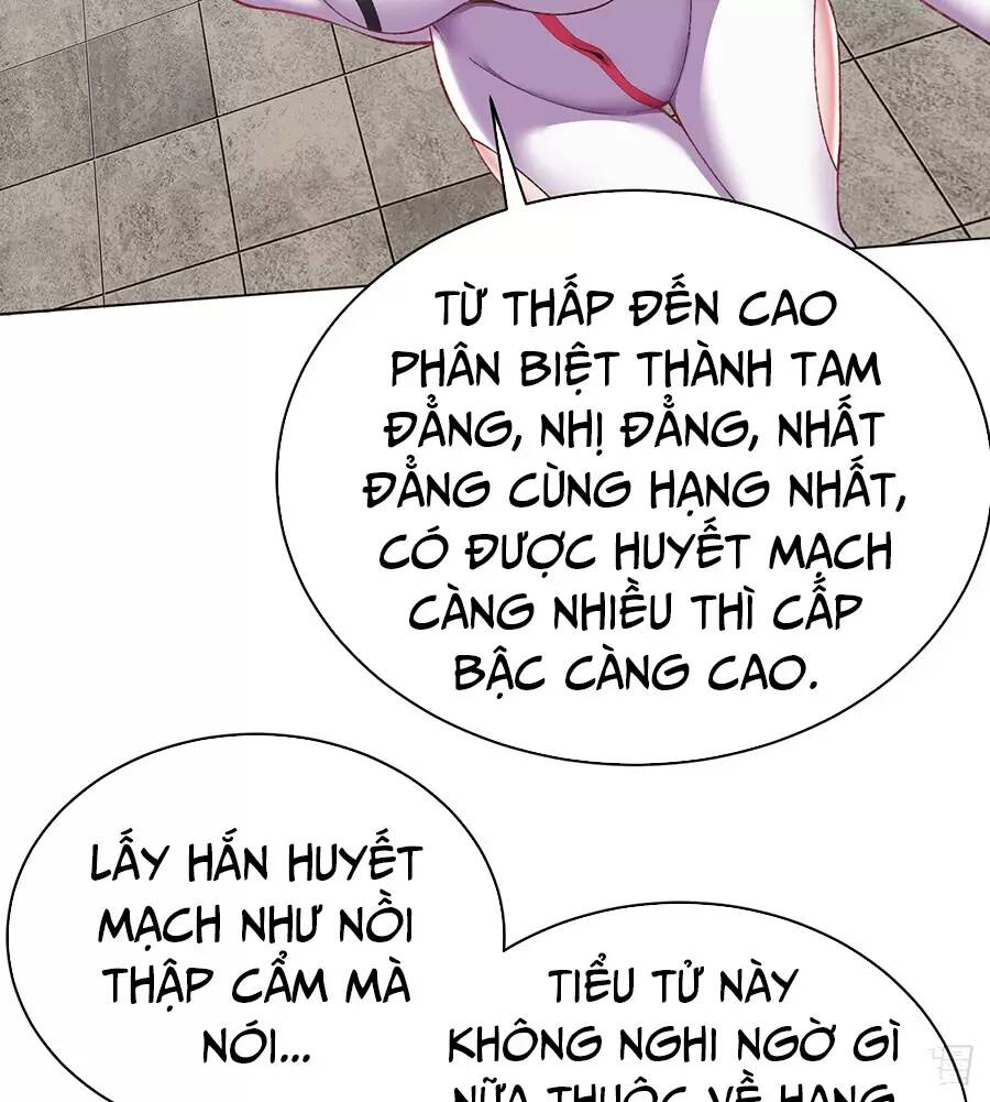Ta Nhặt Được Thuộc Tính Tại Tu Chân Giới - Chapter 213 - Page 6