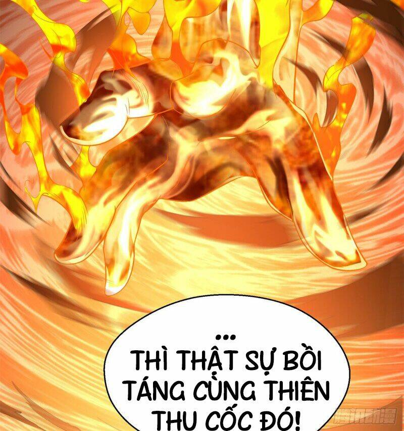 Ta Nhặt Được Thuộc Tính Tại Tu Chân Giới - Chapter 37 - Page 65