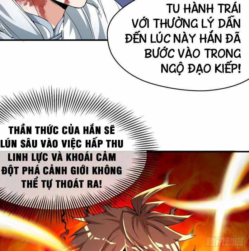 Ta Nhặt Được Thuộc Tính Tại Tu Chân Giới - Chapter 39 - Page 5