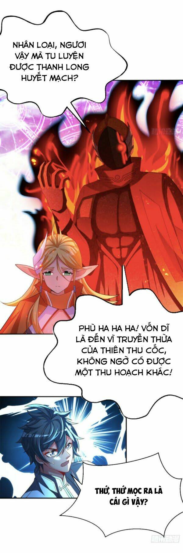 Ta Nhặt Được Thuộc Tính Tại Tu Chân Giới - Chapter 64 - Page 3