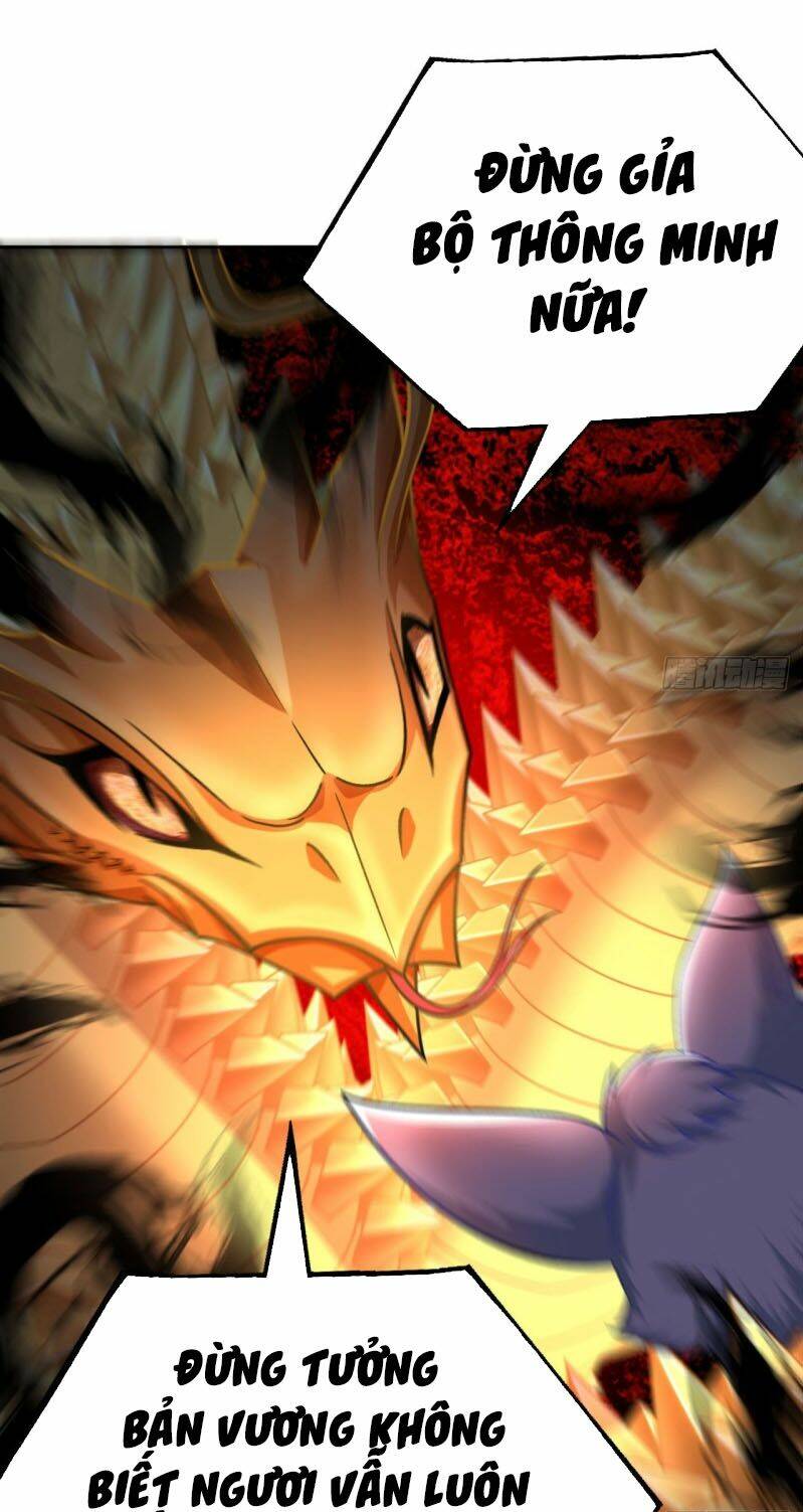 Ta Nhặt Được Thuộc Tính Tại Tu Chân Giới - Chapter 73 - Page 48