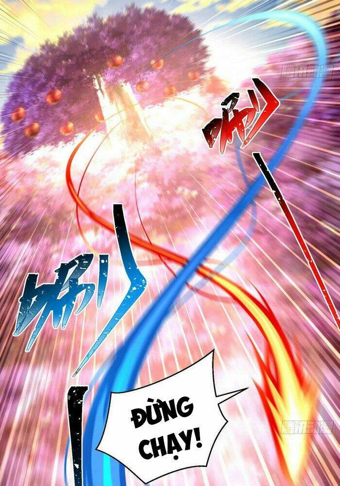 Ta Nhặt Được Thuộc Tính Tại Tu Chân Giới - Chapter 91 - Page 17