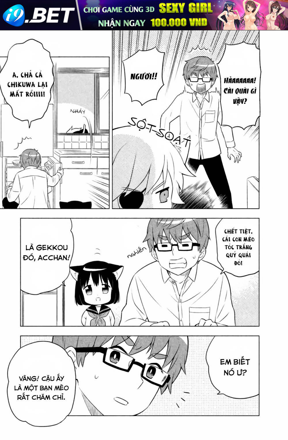 Tớ Là Mèo Kohana - Chapter 8 - Page 3