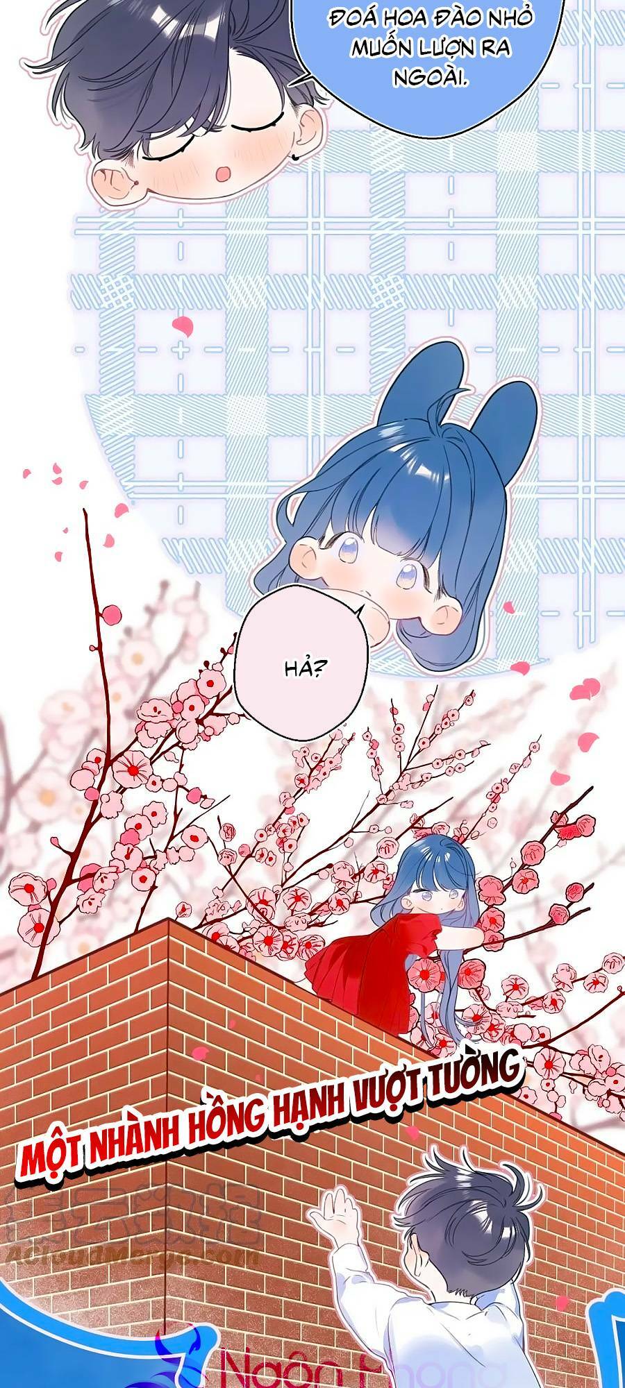 Đừng Khóc - Chapter 115.9 - Page 16