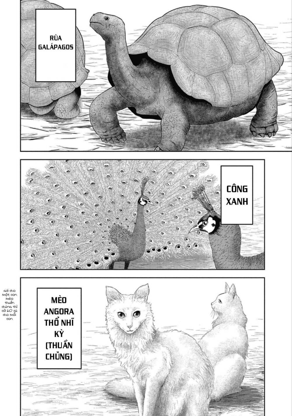 Sengoku Komachi Kurou Tan! - Chapter 43 - Page 29