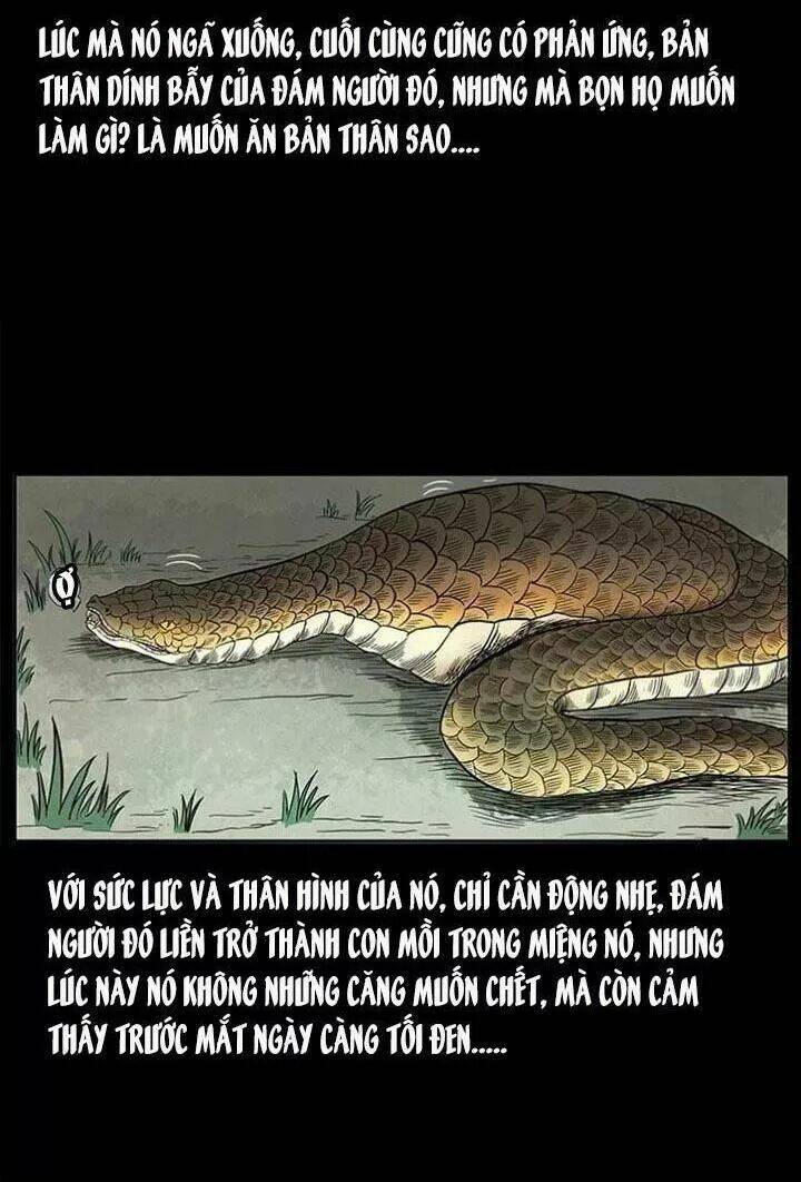 U Minh Ngụy tượng - Chapter 142 - Page 51