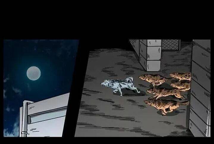 U Minh Ngụy tượng - Chapter 155 - Page 74