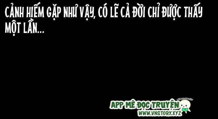 U Minh Ngụy tượng - Chapter 207 - Page 76