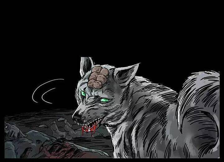 U Minh Ngụy tượng - Chapter 208 - Page 74