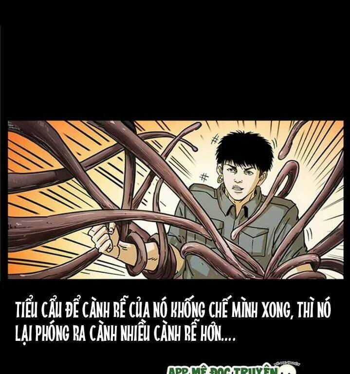 U Minh Ngụy tượng - Chapter 239 - Page 66