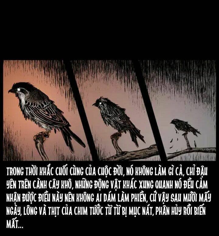 U Minh Ngụy tượng Chapter 38 - Trang 9