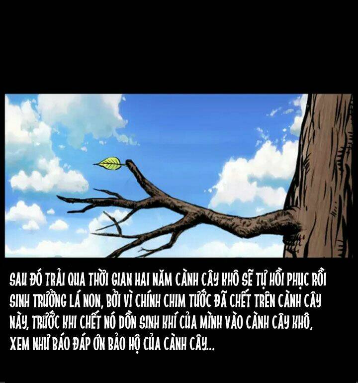 U Minh Ngụy tượng Chapter 38 - Trang 11