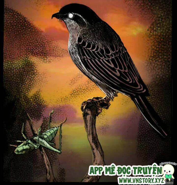 U Minh Ngụy tượng Chapter 38 - Trang 1