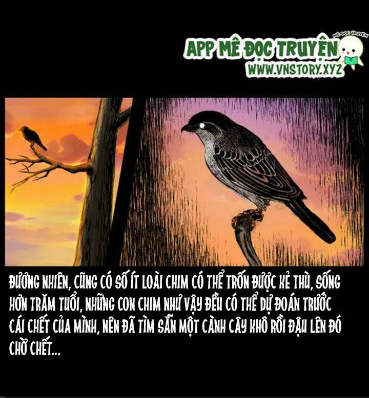 U Minh Ngụy tượng Chapter 38 - Trang 8