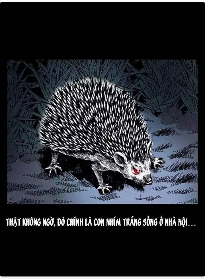 U Minh Ngụy tượng - Chapter 79 - Page 71