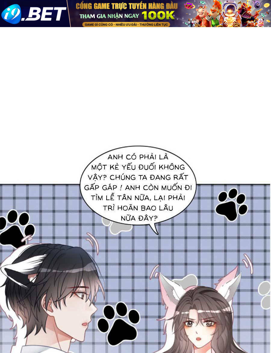 Trọng Sinh Đoàn Sủng Phu Nhân Ảnh Đế Vừa Nghèo Vừa Dữ - Chapter 19 - Page 6