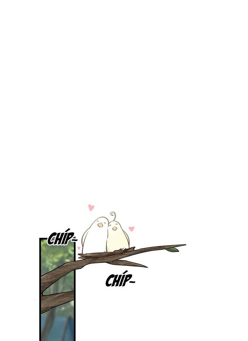 Làm Sao Để Chạy Trốn Dàn Hậu Cung Chapter 13 - Trang 1