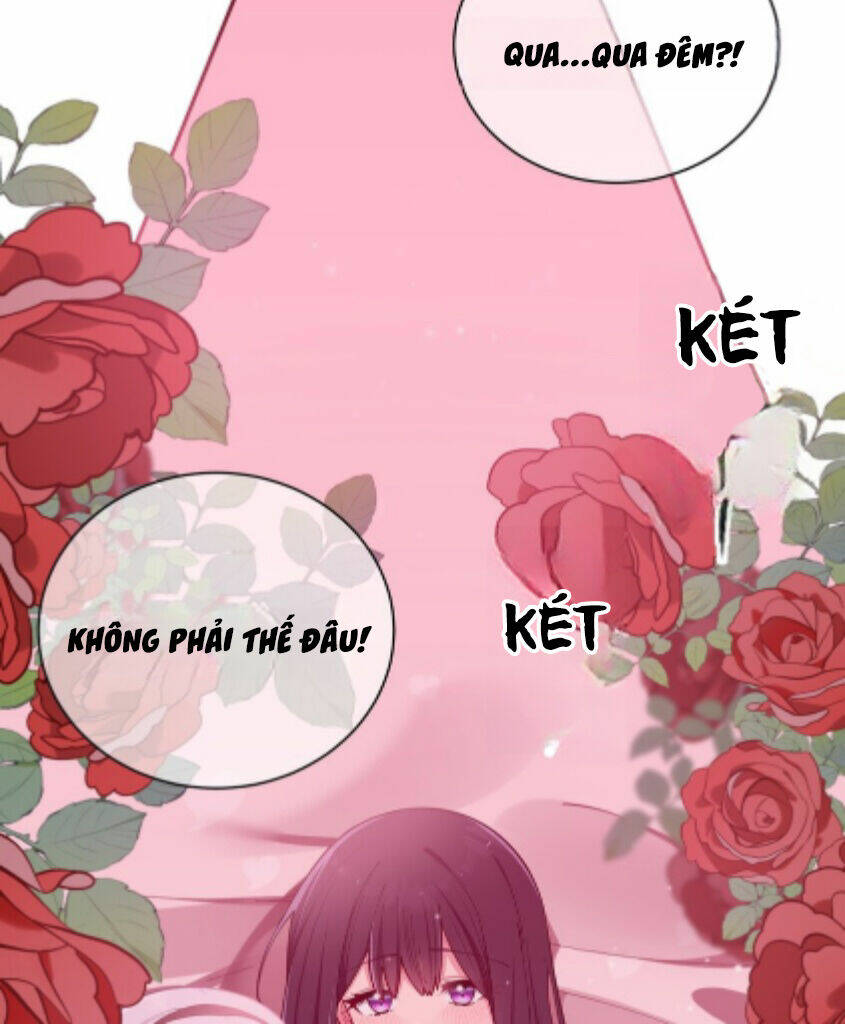 Làm Sao Để Chạy Trốn Dàn Hậu Cung Chapter 60 - Trang 7