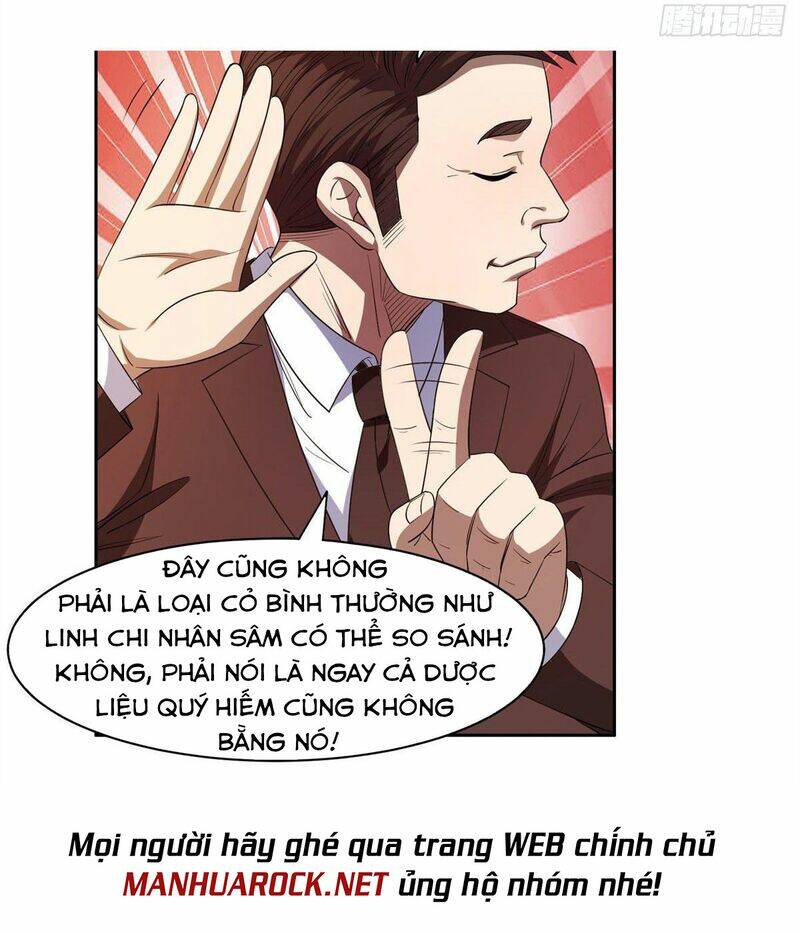 Trọng Sinh Chi Thần Cấp Bại Gia Tử - Chapter 31 - Page 13