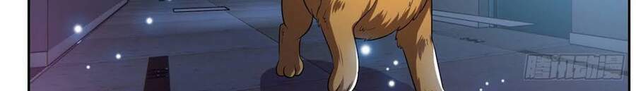 Trọng Sinh Chi Thần Cấp Bại Gia Tử - Chapter 9 - Page 14