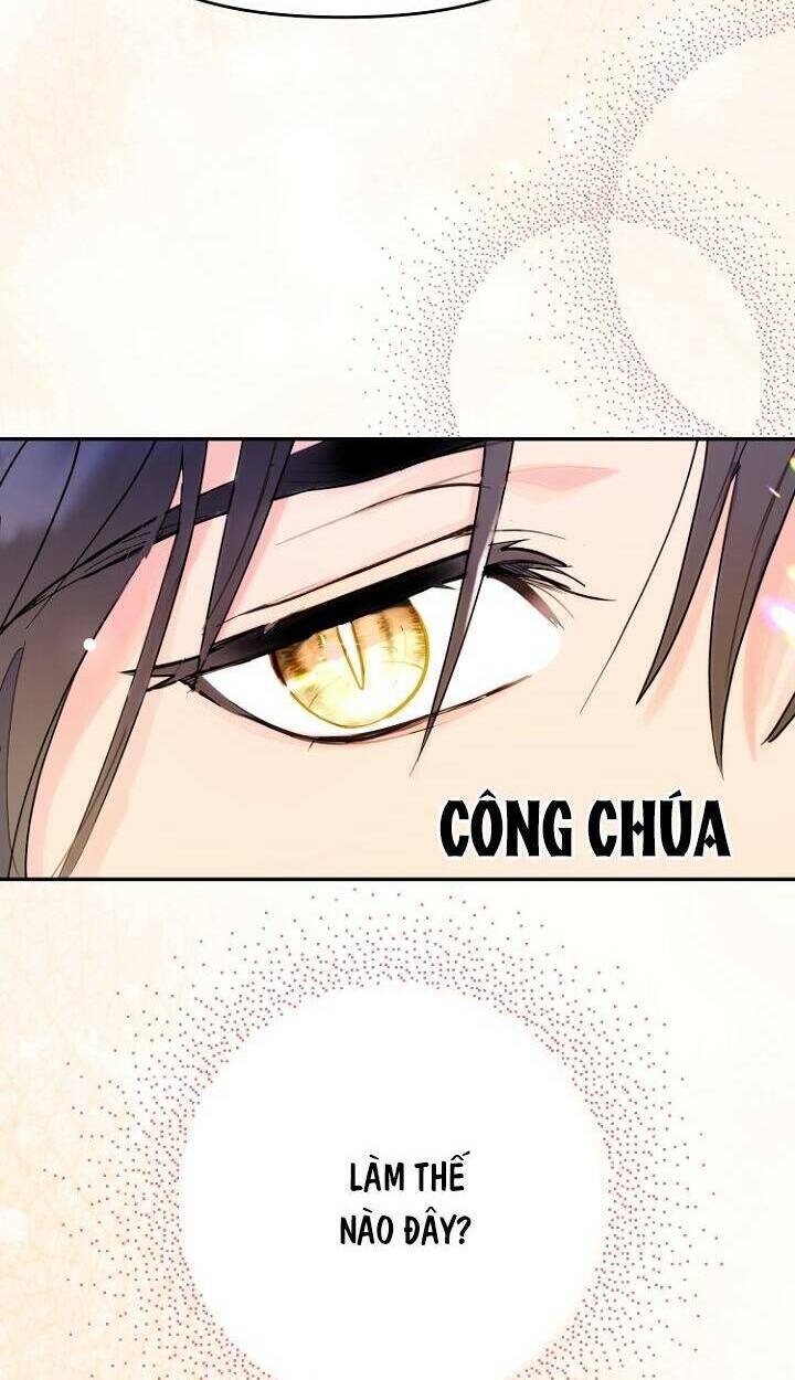 Tiền Là Tất Cả Chồng Là Phù Du - Chapter 13 - Page 15