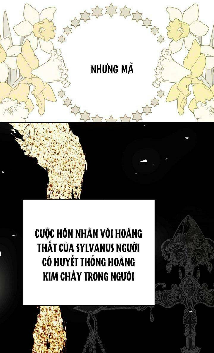 Tiền Là Tất Cả Chồng Là Phù Du - Chapter 15 - Page 34