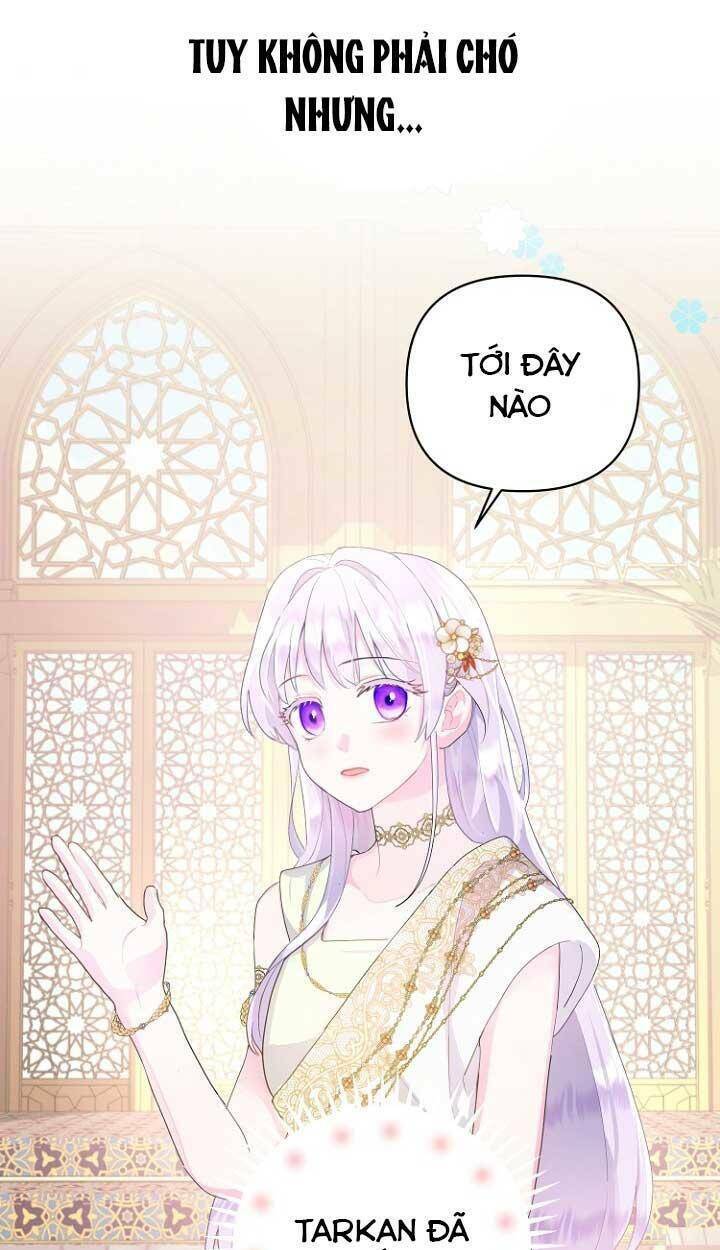 Tiền Là Tất Cả Chồng Là Phù Du - Chapter 22 - Page 7